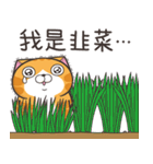 ランラン猫 54 (台湾版)（個別スタンプ：14）