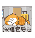 ランラン猫 54 (台湾版)（個別スタンプ：15）