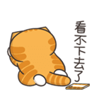 ランラン猫 54 (台湾版)（個別スタンプ：25）
