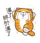 ランラン猫 54 (台湾版)（個別スタンプ：27）