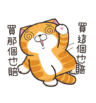 ランラン猫 54 (台湾版)（個別スタンプ：29）