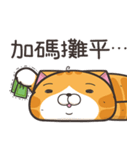 ランラン猫 54 (台湾版)（個別スタンプ：36）