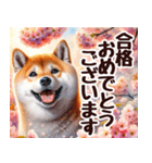 春の花と柴犬 挨拶・お祝い（個別スタンプ：13）