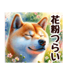 春の花と柴犬 挨拶・お祝い（個別スタンプ：18）