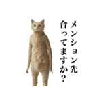 猫になった人間【あいさつ編】（個別スタンプ：15）