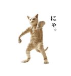 猫になった人間【あいさつ編】（個別スタンプ：25）