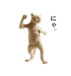 猫になった人間【あいさつ編】（個別スタンプ：27）