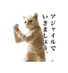 猫になった人間【あいさつ編】（個別スタンプ：30）