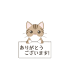 我が家の猫ちゃんスタンプ［るみ］（個別スタンプ：3）