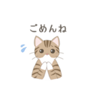 我が家の猫ちゃんスタンプ［るみ］（個別スタンプ：7）