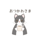 我が家の猫ちゃんスタンプ［るみ］（個別スタンプ：8）