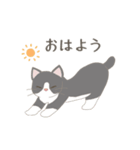 我が家の猫ちゃんスタンプ［るみ］（個別スタンプ：10）