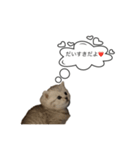 いやしのにゃんこⅡ（個別スタンプ：2）