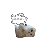 いやしのにゃんこⅡ（個別スタンプ：18）