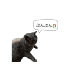 いやしのにゃんこⅡ（個別スタンプ：19）