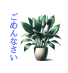 「植物と暮らす：植物スタンプシリーズ（個別スタンプ：3）