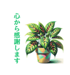 「植物と暮らす：植物スタンプシリーズ（個別スタンプ：14）