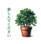 「植物と暮らす：植物スタンプシリーズ（個別スタンプ：17）