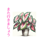 「植物と暮らす：植物スタンプシリーズ（個別スタンプ：20）