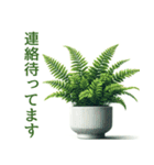 「植物と暮らす：植物スタンプシリーズ（個別スタンプ：22）