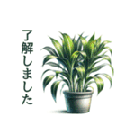 「植物と暮らす：植物スタンプシリーズ（個別スタンプ：25）