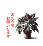 「植物と暮らす：植物スタンプシリーズ（個別スタンプ：37）