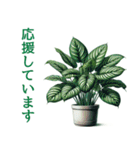 「植物と暮らす：植物スタンプシリーズ（個別スタンプ：40）