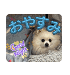 こてつのスタンプ3rd season（個別スタンプ：9）