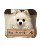 こてつのスタンプ3rd season（個別スタンプ：10）