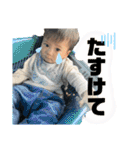 てんくんと過ごそう（個別スタンプ：40）