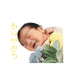 おたからすたんぷ2（個別スタンプ：2）