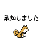 柴犬さんの日本語会話（個別スタンプ：1）