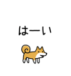柴犬さんの日本語会話（個別スタンプ：4）