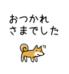 柴犬さんの日本語会話（個別スタンプ：9）