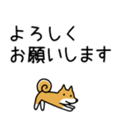 柴犬さんの日本語会話（個別スタンプ：10）