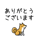 柴犬さんの日本語会話（個別スタンプ：12）