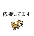 柴犬さんの日本語会話（個別スタンプ：14）