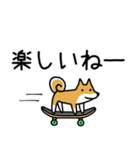 柴犬さんの日本語会話（個別スタンプ：24）