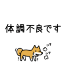 柴犬さんの日本語会話（個別スタンプ：25）