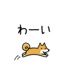 柴犬さんの日本語会話（個別スタンプ：29）