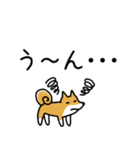 柴犬さんの日本語会話（個別スタンプ：31）