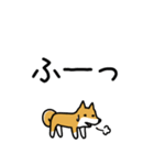 柴犬さんの日本語会話（個別スタンプ：32）