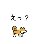 柴犬さんの日本語会話（個別スタンプ：38）