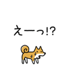 柴犬さんの日本語会話（個別スタンプ：39）