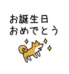柴犬さんの日本語会話（個別スタンプ：40）