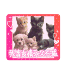 可愛い子猫のスタンプです！⑩（個別スタンプ：3）