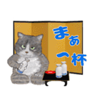 からふる猫ーず 【あいさつ、あいづち編】（個別スタンプ：14）