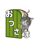 からふる猫ーず 【あいさつ、あいづち編】（個別スタンプ：16）