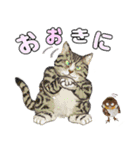 からふる猫ーず 【あいさつ、あいづち編】（個別スタンプ：20）