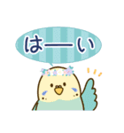 やさしいインコちゃんず【春～夏】（個別スタンプ：11）